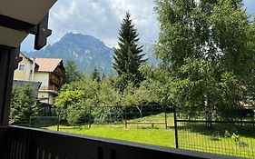 The View Apartment 2 Busteni